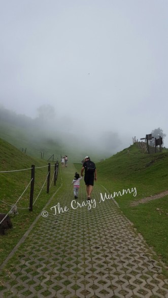Cing Jing Green Green Grassland.jpg
