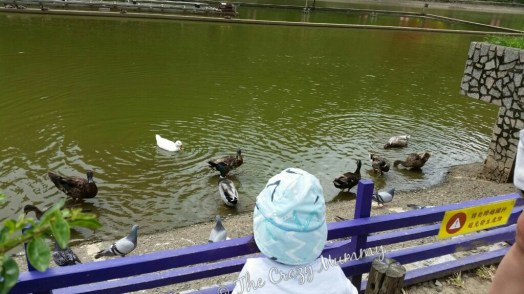 IMG-20170704-WA0016_wm